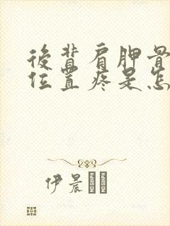 后背肩胛骨下面位置疼是怎么回事