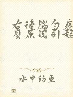 右后脑勺疼是什么原因引起的