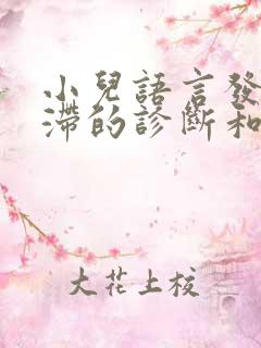 小儿语言发育迟滞的诊断和治疗