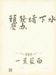 头发堵下水道怎么办