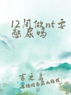 12周做nt要憋尿吗