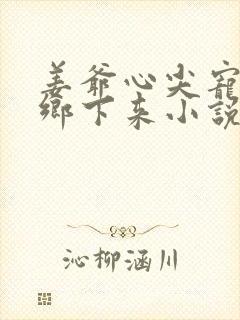 姜爷心尖宠她从乡下来小说免费