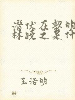 潜伏在黎明之前林晓之是什么人