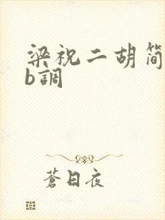 梁祝二胡简谱降b调