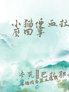 小猫便血拉稀怎么回事