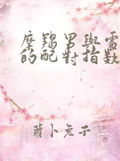 摩羯男与处女女的配对指数