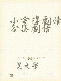 小舍得剧情介绍分集剧情