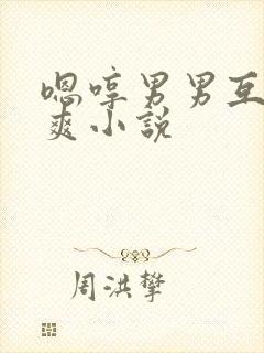 嗯哼男男互操很爽小说