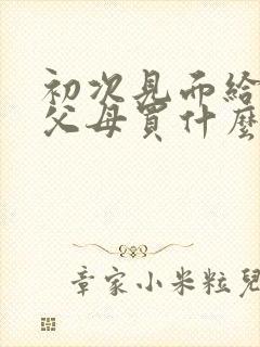 初次见面给男方父母买什么礼物好