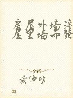 房屋外墙渗水,屋里墙面发霉怎么办