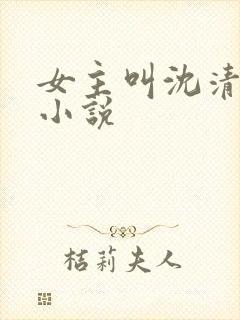 女主叫沈清雪的小说