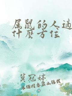 属鼠的人适合睡什么方位