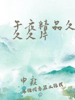 午夜精品久久久久久片