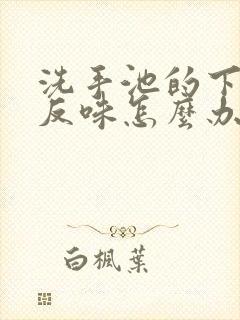 洗手池的下水道反味怎么办