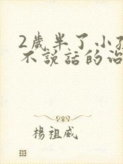 2岁半了小孩还不说话的治疗方法