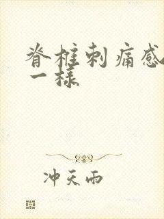 脊椎刺痛感针扎一样