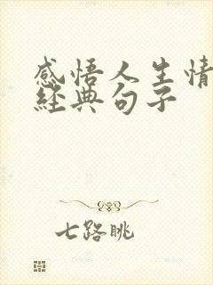 感悟人生情感的经典句子