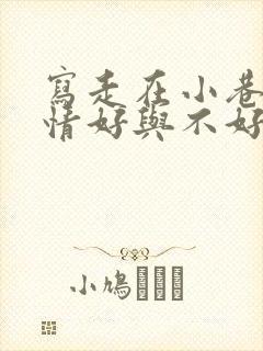 写走在小巷里心情好与不好两种状态