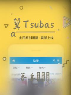 翼Tsubasa：结局+番外