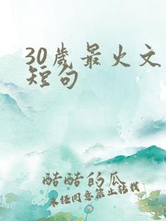 30岁最火文案短句