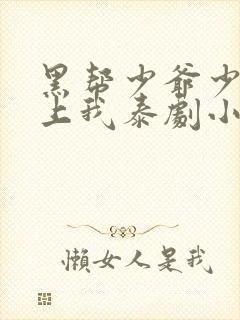 黑帮少爷少爷爱上我泰剧小说