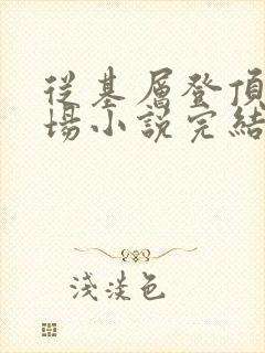 从基层登顶的官场小说完结版