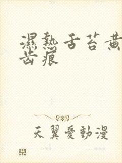 湿热舌苔黄腻有齿痕