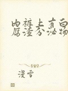 内裤上有白色豆腐渣分泌物是什么原因