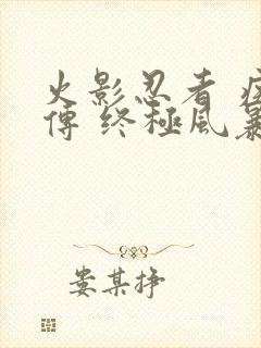 火影忍者 疾风传 终极风暴