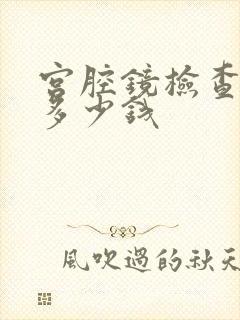 宫腔镜检查费用多少钱