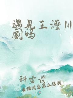 遇见王沥川是悲剧吗