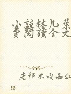 小说林凡叶惜免费阅读全文最新