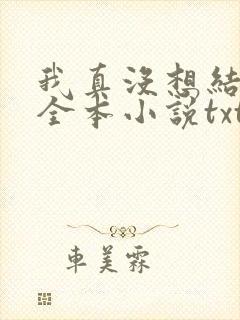 我真没想结婚啊全本小说txt下载