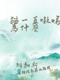 猫一直嗷呜叫是为什么