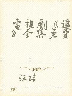 电视剧《追捕者》全集免费