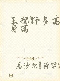 王赫野多高真实身高