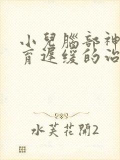 小儿脑部神经发育迟缓的治疗方法