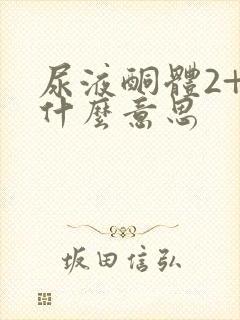 尿液酮体2+是什么意思