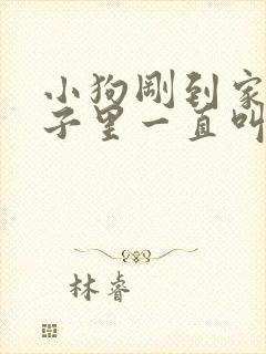 小狗刚到家关笼子里一直叫怎么办