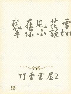 我在风花雪月里等你小说txt网盘