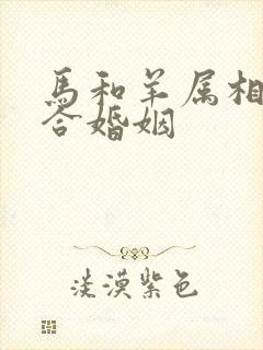 马和羊属相合不合婚姻