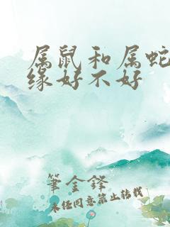 属鼠和属蛇的姻缘好不好