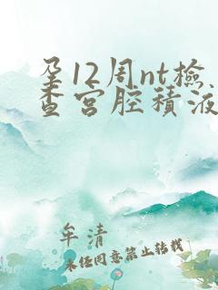 孕12周nt检查宫腔积液