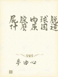 屁股肉球脱出是什么原因造成的