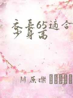 衣长65适合多少身高