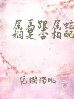 属马跟属蛇的婚姻是否相配