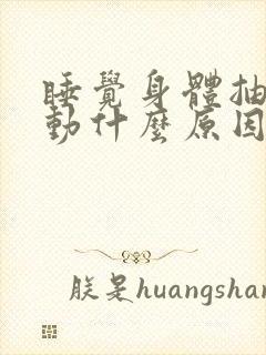 睡觉身体抽搐抖动什么原因