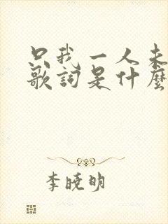 只我一人未发觉歌词是什么意思