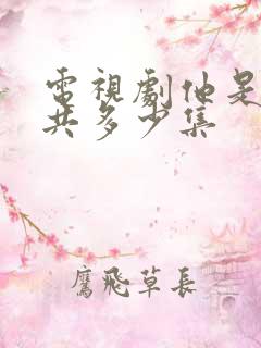 电视剧他是谁一共多少集