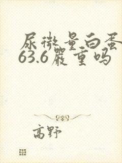 尿微量白蛋白高63.6严重吗